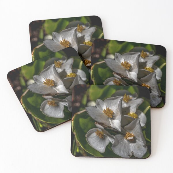 Item preview, Decorative Flowers designed and sold by barkeypf.