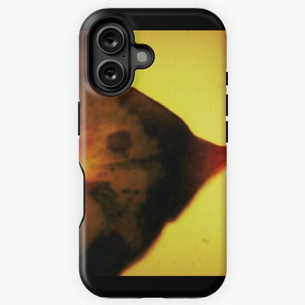 The Great Post Fall iPhone Tough Case