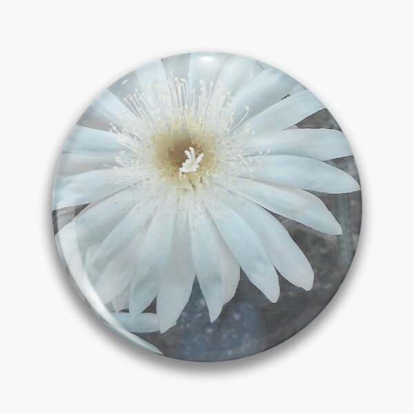 Item preview, Serious Cereus, SERIOUSLY designed and sold by Scruffy-Sid.