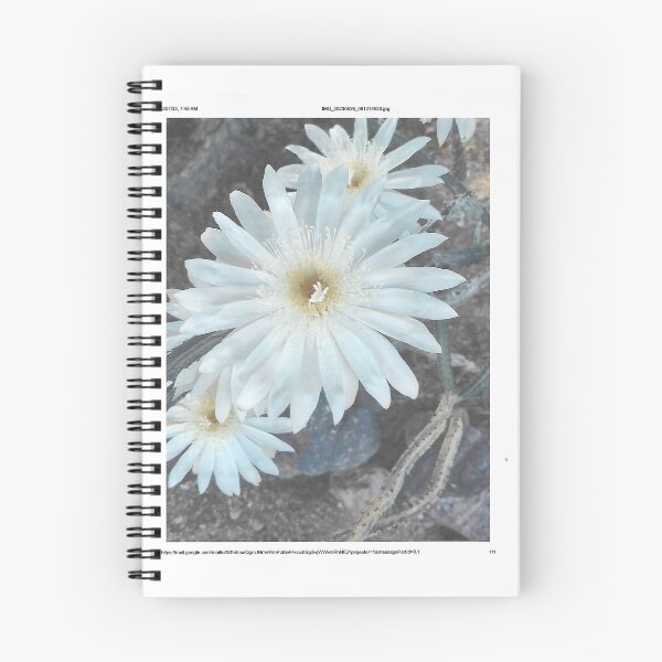 Item preview, Serious Cereus, SERIOUSLY designed and sold by Scruffy-Sid.