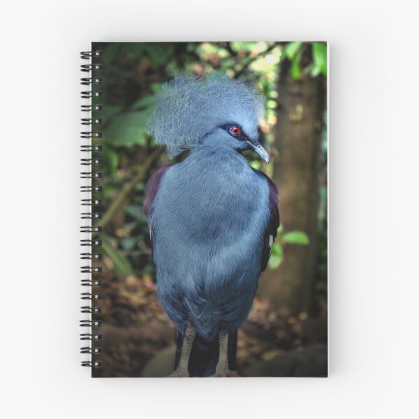 Item preview, Victoria Crowned Pigeon designed and sold by Savannah Gibbs.