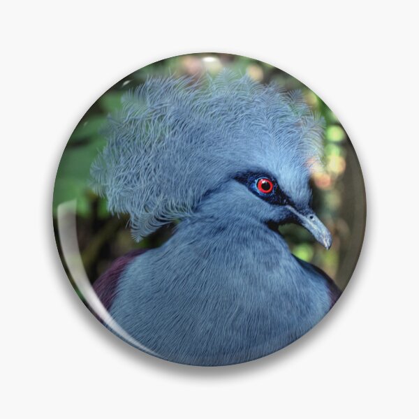 Item preview, Victoria Crowned Pigeon designed and sold by Savannah Gibbs.