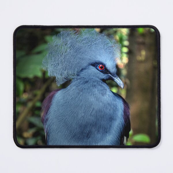 Item preview, Victoria Crowned Pigeon designed and sold by Savannah Gibbs.