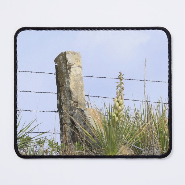 Item preview, Kansas Yuccas with Stone Post Fence designed and sold by ROBERTDBROZEK.