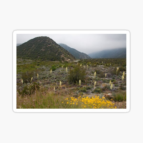 Item preview, Valley of Yuccas designed and sold by CarolM.