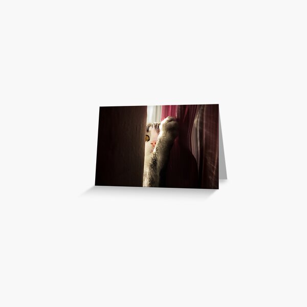 Curiosity Greeting Card