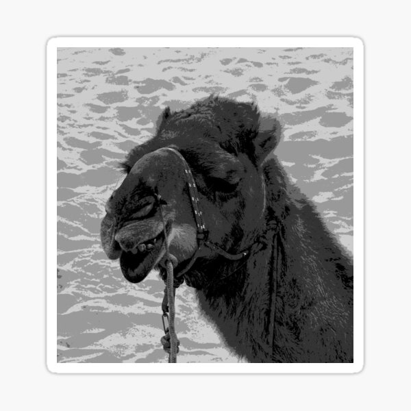 Item preview, A Camel in the Desert! designed and sold by Mickangelhere.