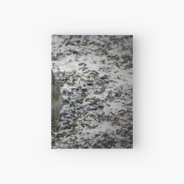 Ecureuil Carnet cartonné
