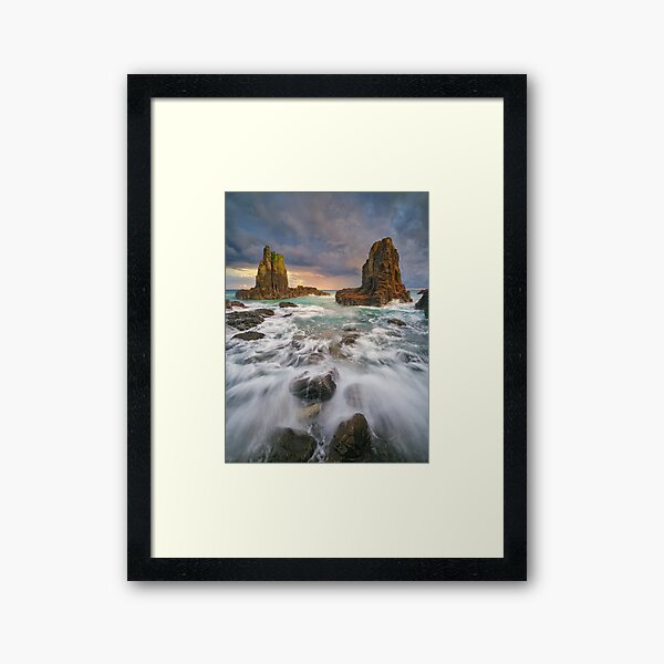 Framed Art Print