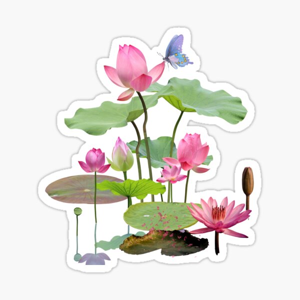 Aperçu de l'œuvre Lotus Esthétique créée et vendue par Ramyopam  Hongchui.