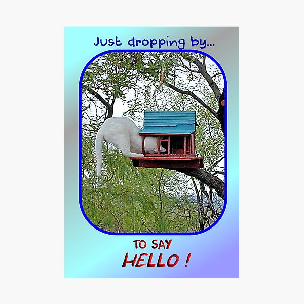 Just Dropping By to Say Hello Photographic Print