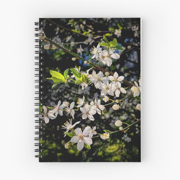 Item preview, Spring Fling designed and sold by Steve Walser.