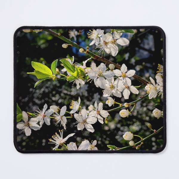 Item preview, Spring Fling designed and sold by Steve Walser.