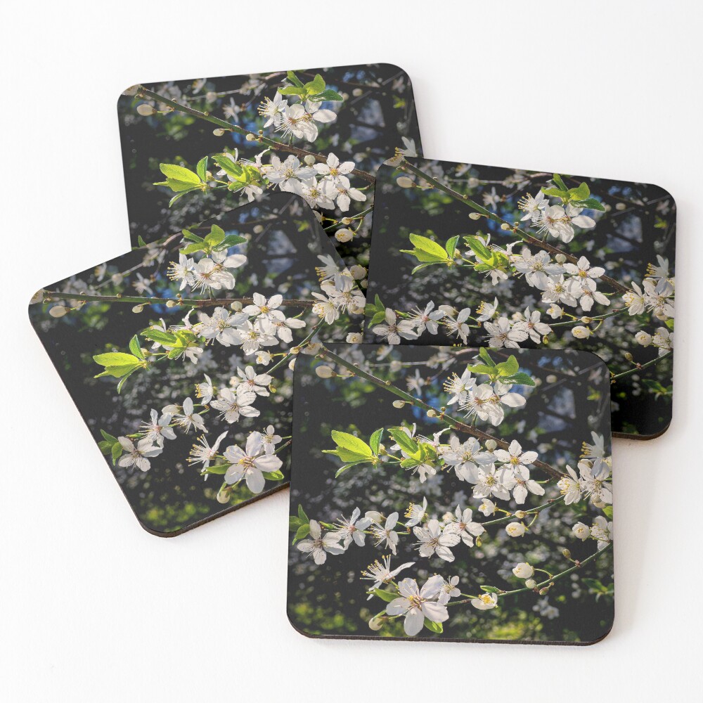 Item preview, Coasters (Set of 4) designed and sold by Bassbro.