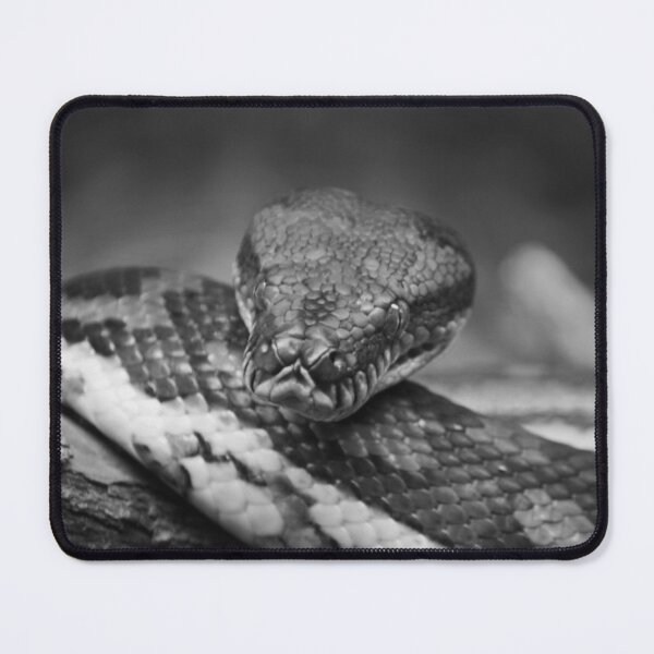 Item preview, The Evil Serpent designed and sold by LeanneAllen.