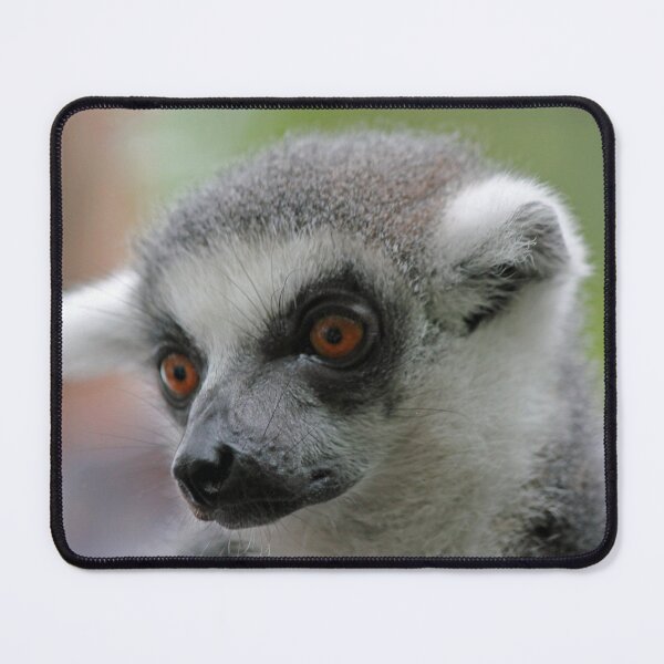 Item preview, Ring-Tailed Lemur 2 designed and sold by LeanneAllen.