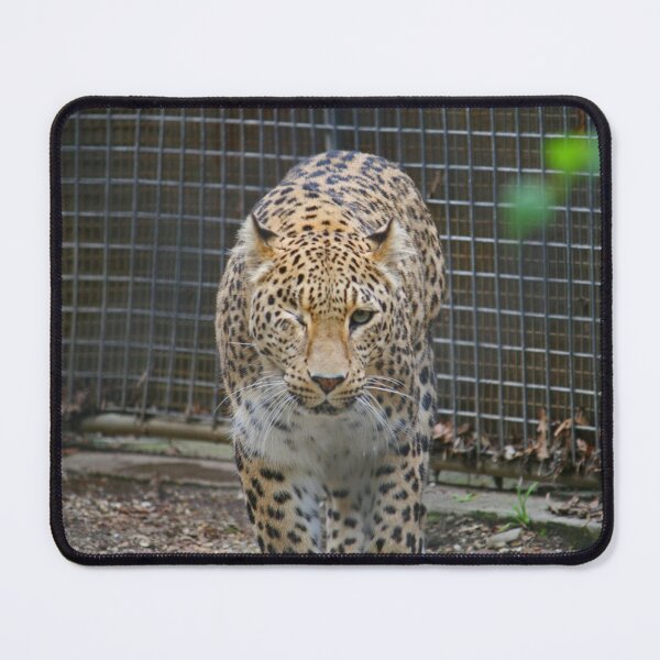 Item preview, I've Got My Eye On You! designed and sold by LeanneAllen.
