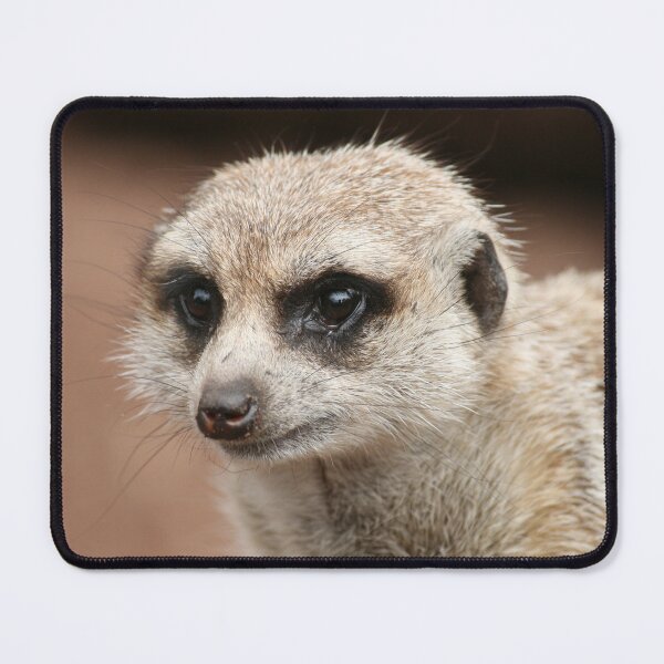 Item preview, Meerkat designed and sold by LeanneAllen.