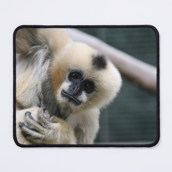 Item preview, White-Cheeked Gibbon designed and sold by LeanneAllen.