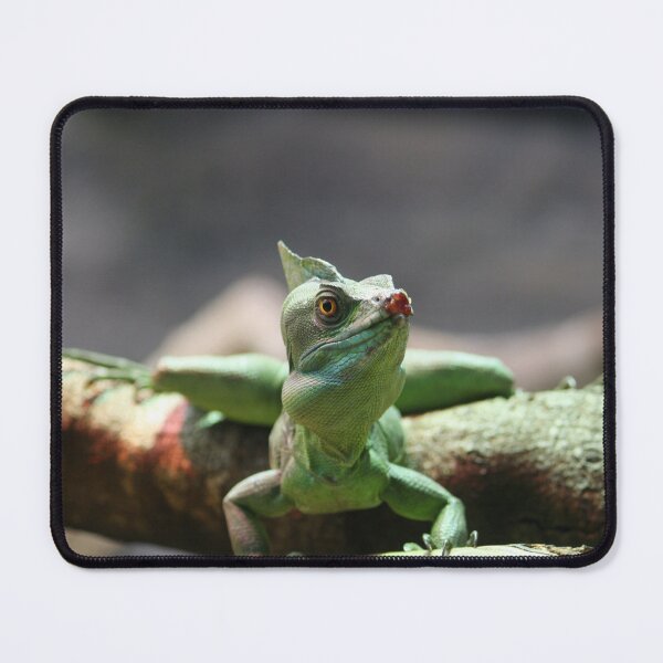 Item preview, Double-Crested Basilisk designed and sold by LeanneAllen.
