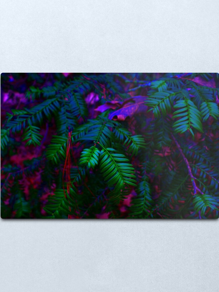 vaporwave plant metal print by sjsketches redbubble redbubble