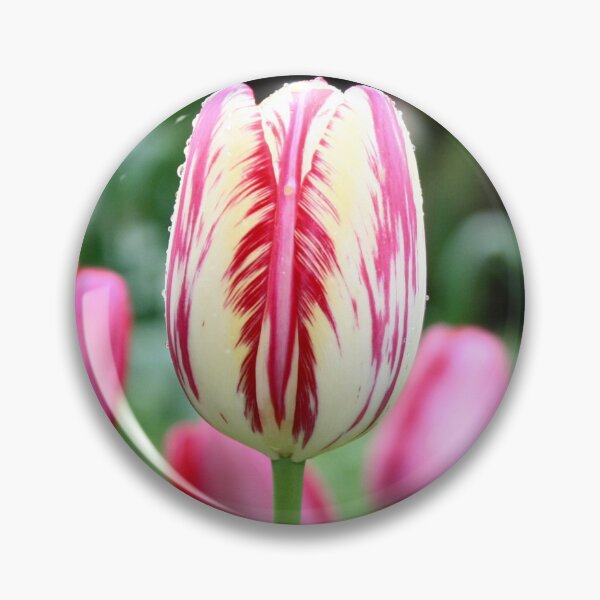 Item preview, Blush designed and sold by LeanneAllen.