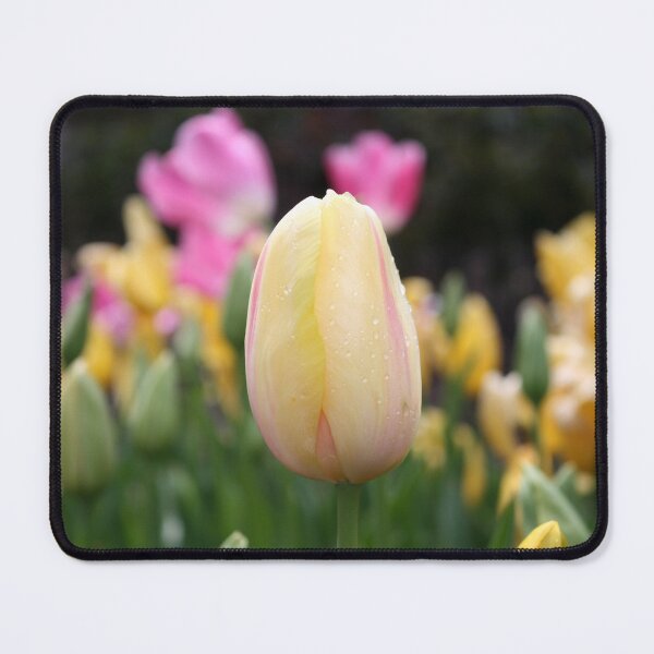 Item preview, Dutch Delight designed and sold by LeanneAllen.