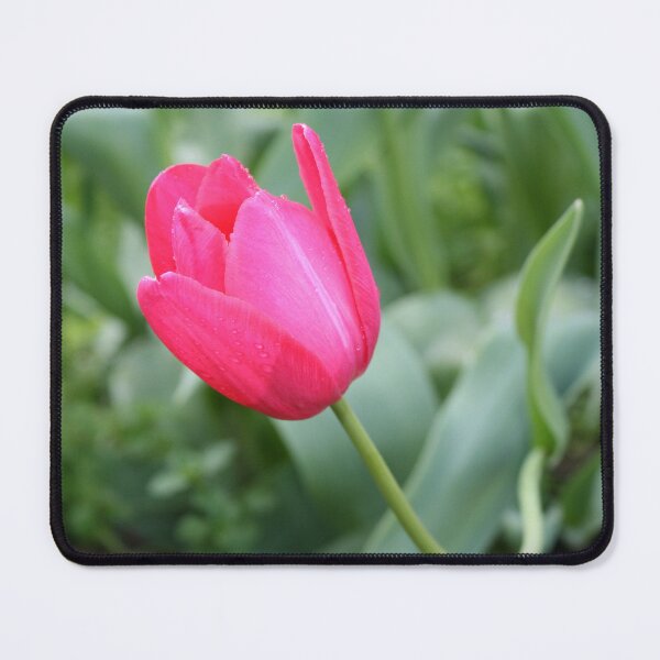 Item preview, Pink Passion designed and sold by LeanneAllen.