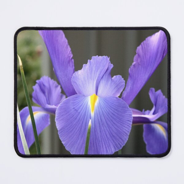 Item preview, Blue Iris designed and sold by LeanneAllen.