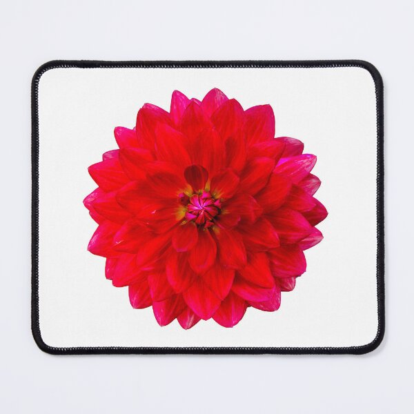 Item preview, Red Dahlia designed and sold by Dalyndigital Photography.