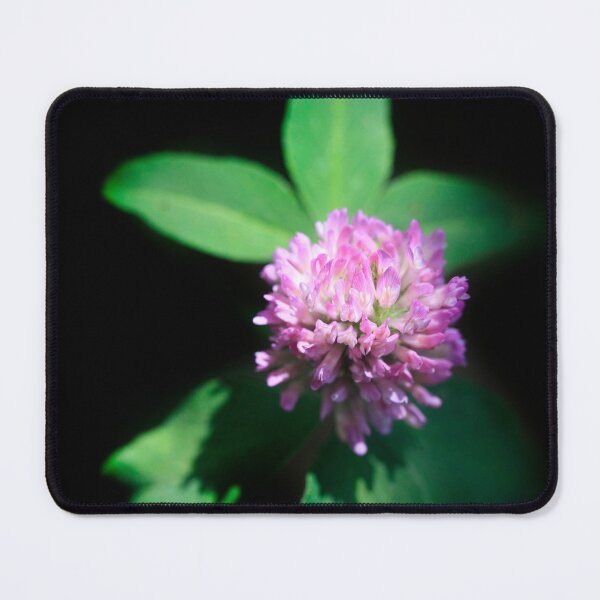 Item preview, Purple flower on black background designed and sold by olena2552.