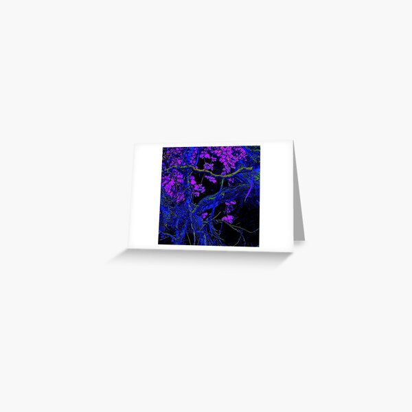 Night Delights Greeting Card