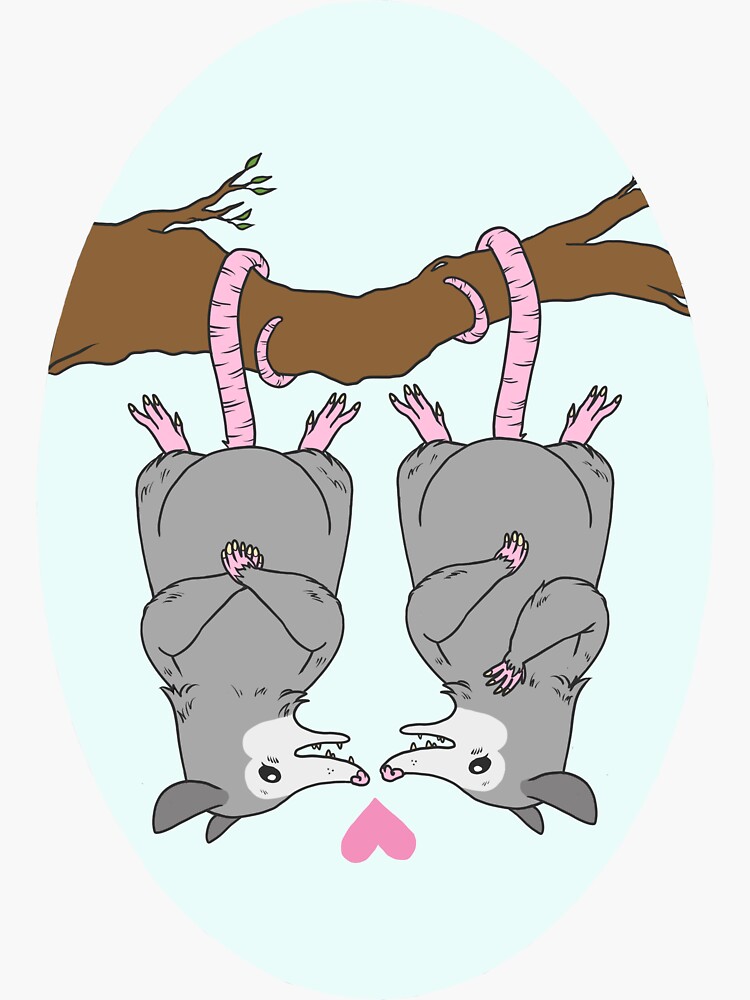 Possums In Love Sticker For Sale By Gloriavictoria Redbubble 8734