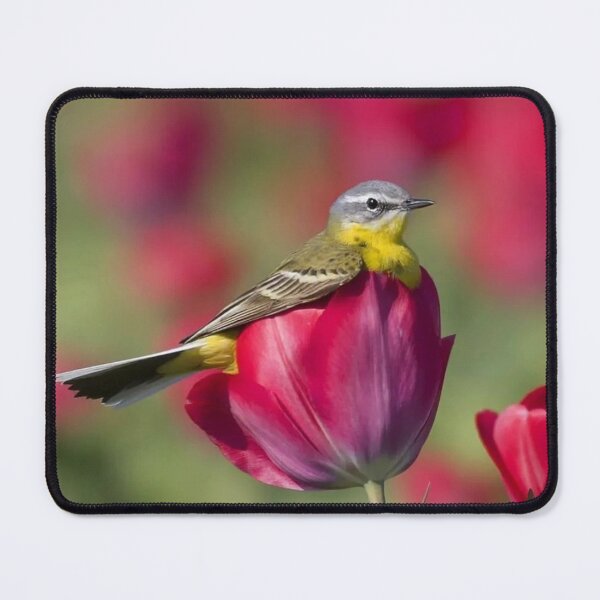 Item preview, gold finch on tulip designed and sold by ritusdesigns.