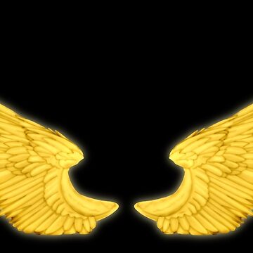 LYLYCTY 7x5ft Golden Gold Wings Wimg Backdrop A Large Pair of Golden  Angelic Wings Over a Black Background for Adult Boy Girl Background LYZY0168