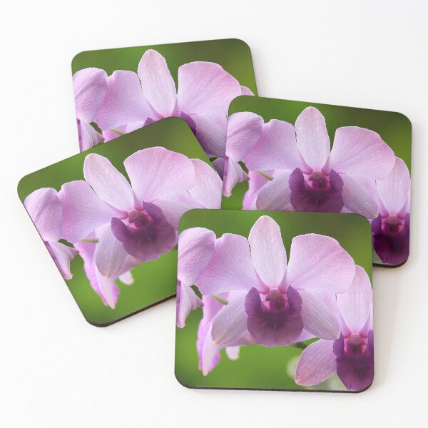 Aperçu de l'œuvre Purple Orchid from Thailand: Exotic Elegance in Bloom créée et vendue par franck380.