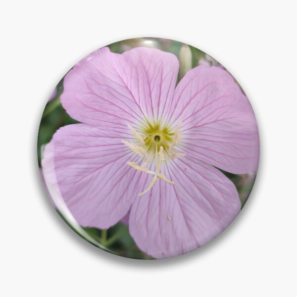 Item preview, Oenothera Pink Floral Photo design designed and sold by Pikmi.
