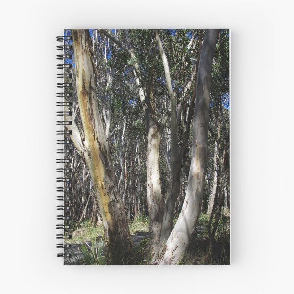 Item preview, A Group Of Eucalypt Trees designed and sold by lezvee.