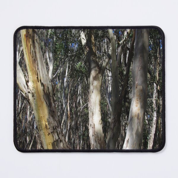 Item preview, A Group Of Eucalypt Trees designed and sold by lezvee.