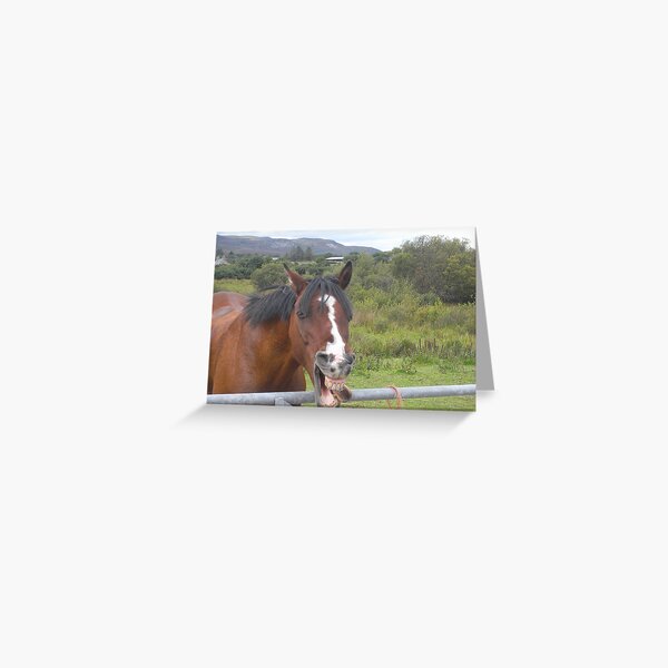 Item preview, Horse Play designed and sold by nikki harrison.