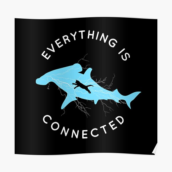 Everything is Connected Shirt Cat Shark Poster