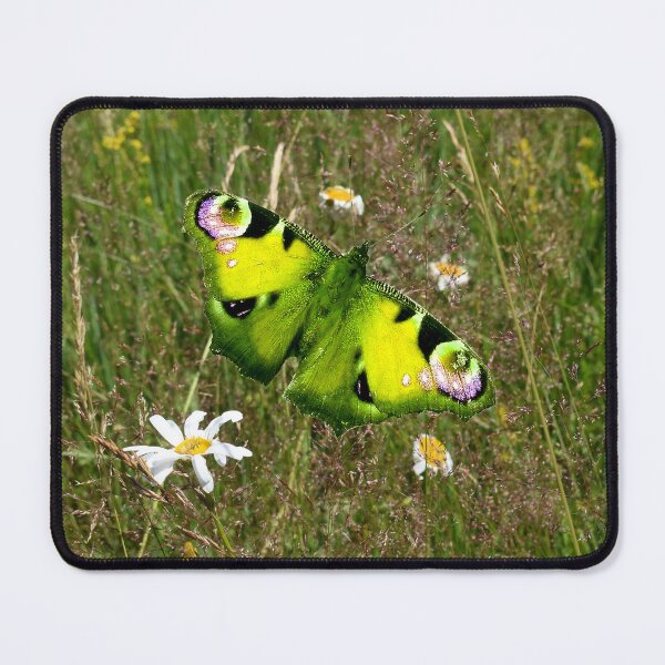 Item preview, White wildflowers on a meadow designed and sold by mariya-ivanova.
