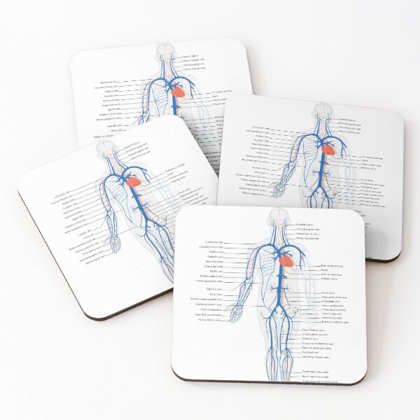 Item preview, Circulatory System Diagram  designed and sold by Weird-Artss.