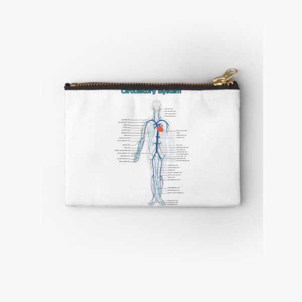 Item preview, Circulatory System Diagram  designed and sold by Weird-Artss.