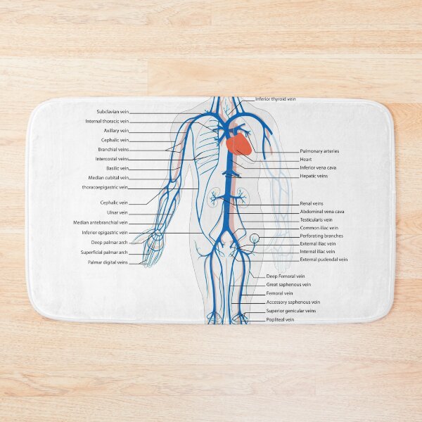 Item preview, Circulatory System Diagram  designed and sold by Weird-Artss.