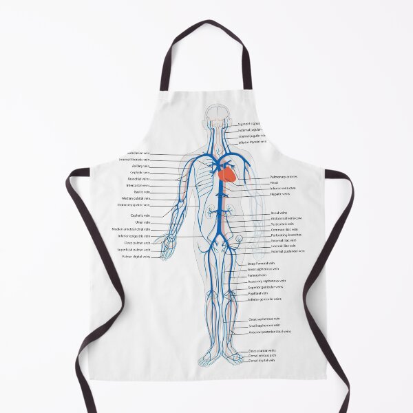 Item preview, Circulatory System Diagram  designed and sold by Weird-Artss.