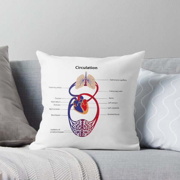 Item preview, Circulatory System Diagram  designed and sold by Weird-Artss.
