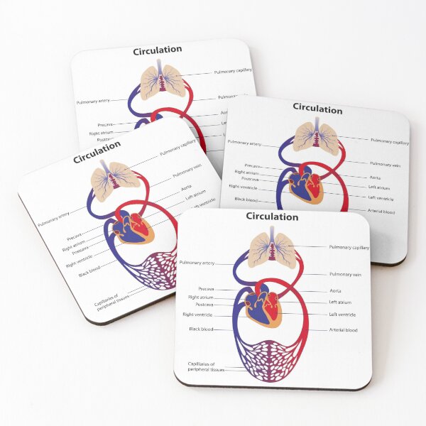 Item preview, Circulatory System Diagram  designed and sold by Weird-Artss.