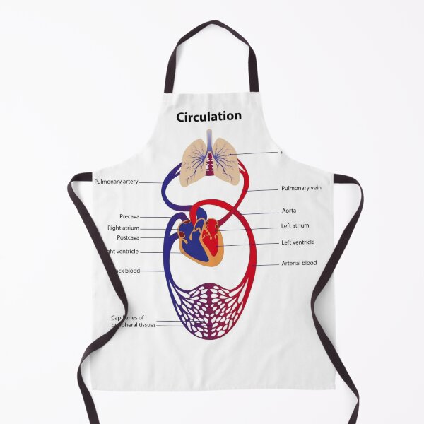 Item preview, Circulatory System Diagram  designed and sold by Weird-Artss.