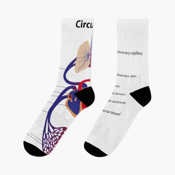 Item preview, Circulatory System Diagram  designed and sold by Weird-Artss.